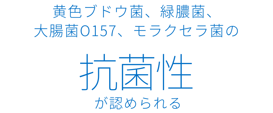 抗菌性試験